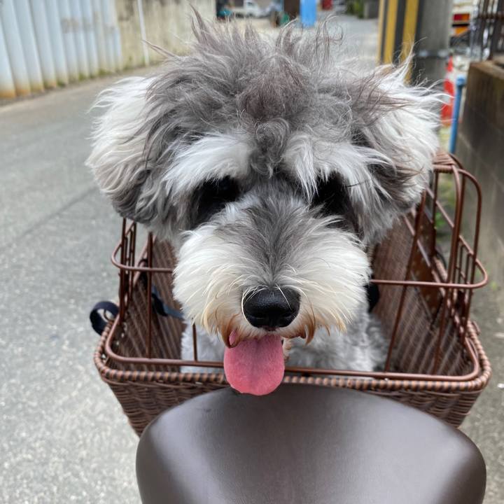 359a5286 8c36 4b4c 807a 74badb141426 1595484984312