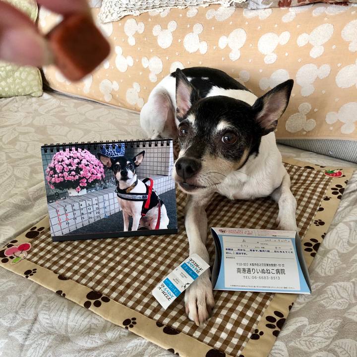 359a70c8 1a22 487d aa18 e1cc8eb26360 1567302391798