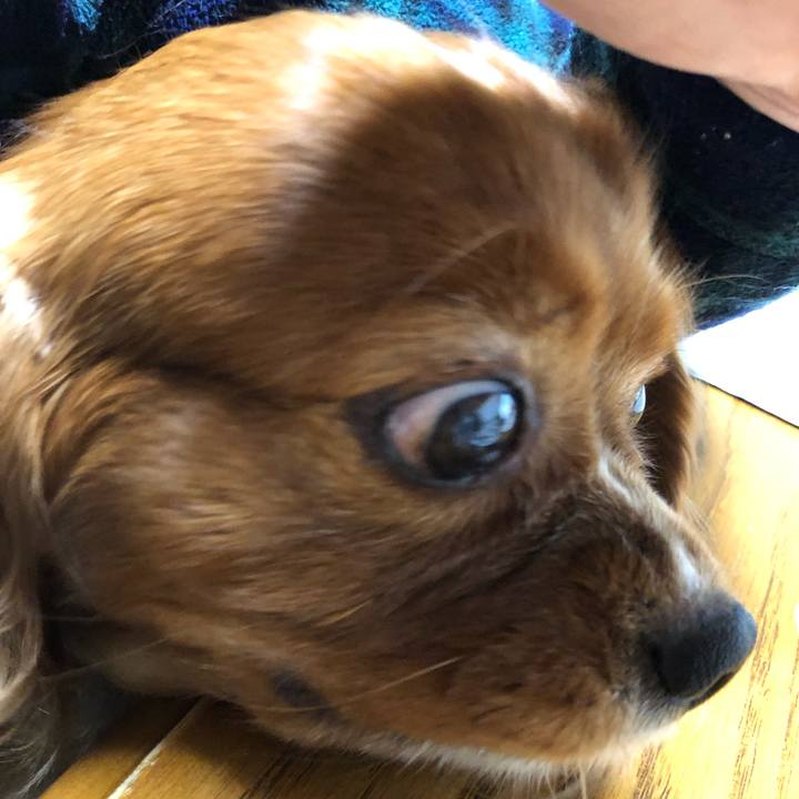 359a7938 4841 4619 8b39 b6cc7f0e010b 1643149588153