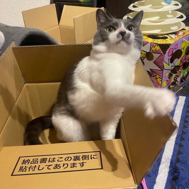 359a7b71 6381 4452 a609 eac5c53e5125 1651400875480