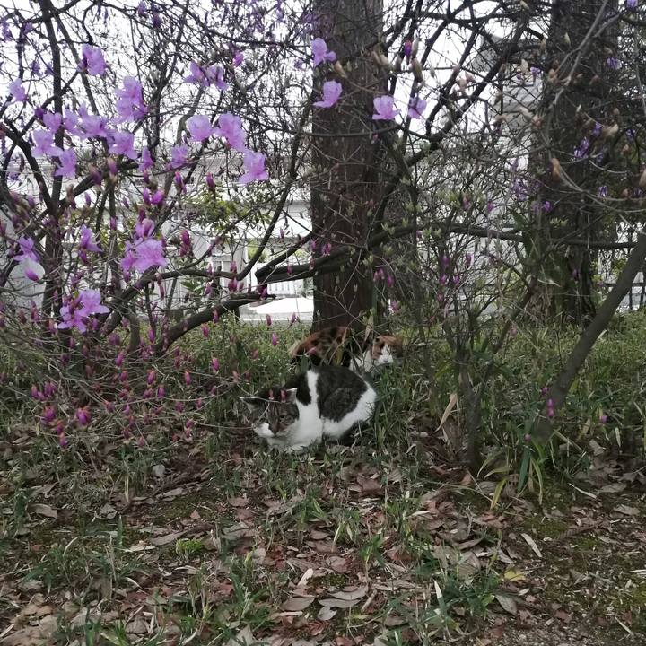 359b189e 7f34 40c9 9419 998556c20c94 1616622999468