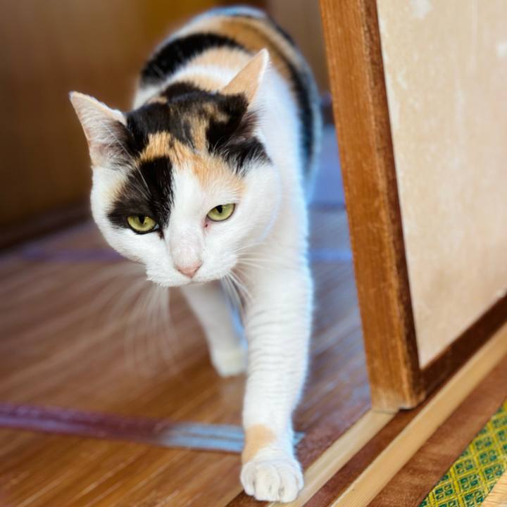 359b1f25 b764 48d5 85bb 111b27bad28a 1710641093380