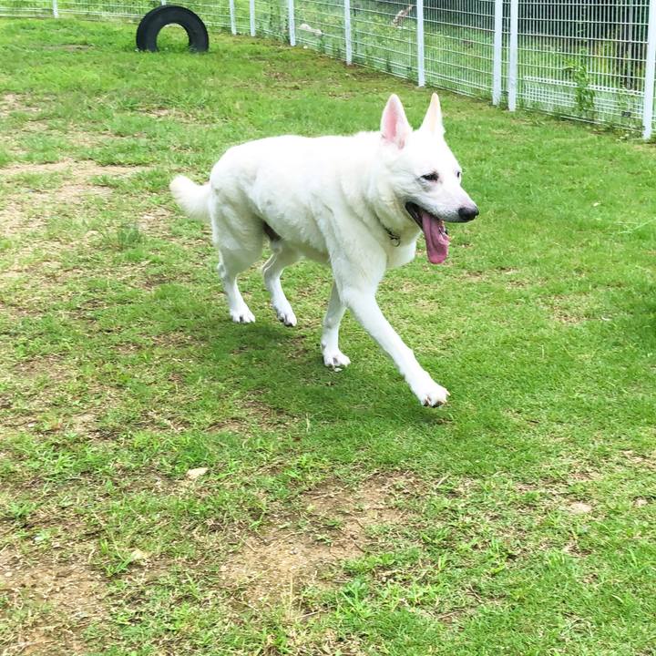 359b26a2 c127 4e12 bf98 8dcc16079559 1564748071748