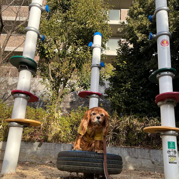 359b4d4c f5d9 457a a904 e0ef9a015c4e 1739232800402