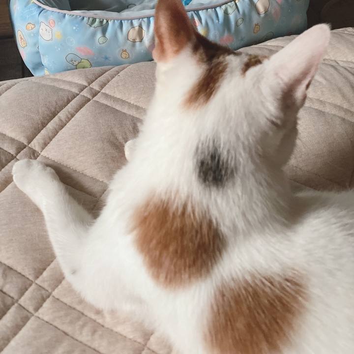 359b600c b9d0 48a9 8948 2962f887a4b3 1596281953098