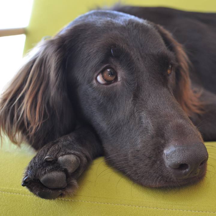 359b958c 609b 4e1a a0c9 a8d85633bb06 1583222139194