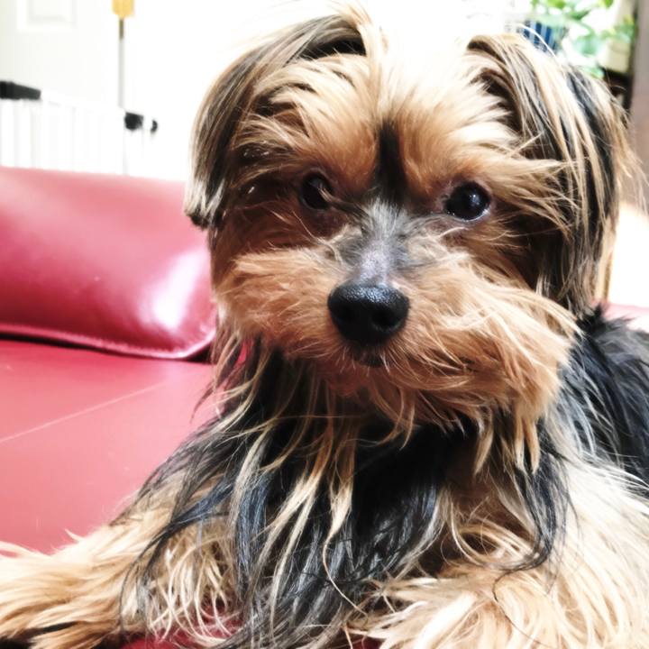 359bd55f 8ea0 4863 bba8 d2218578ad76 1527398270638