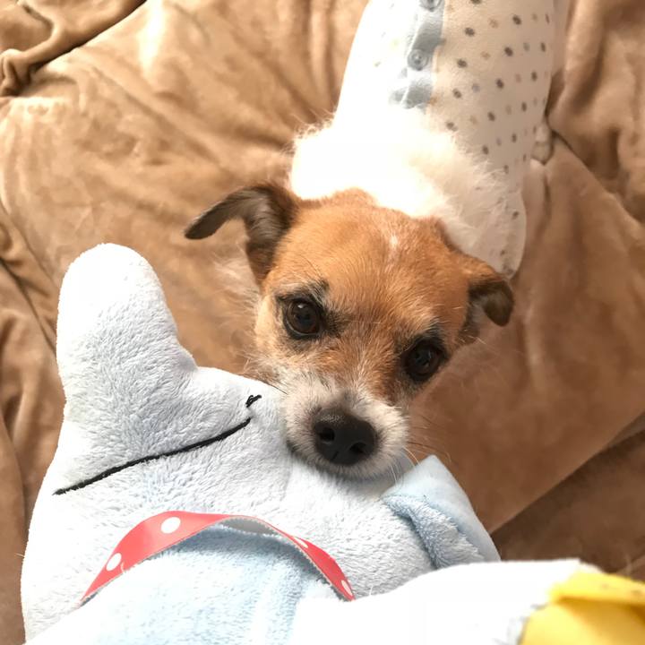 359c433c 9605 4015 839a 8e9880cf6d35 1515797169300