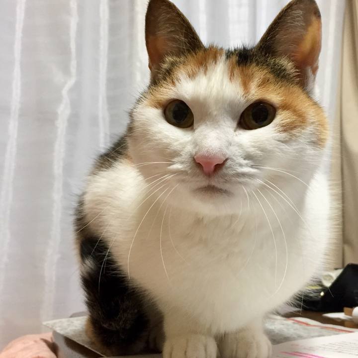 359c4dee 99d2 4900 8159 2b88e917ff21 1549695258066