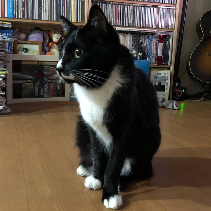 359c55af e938 410c bfd6 cd81c373c2b3 1604209979575