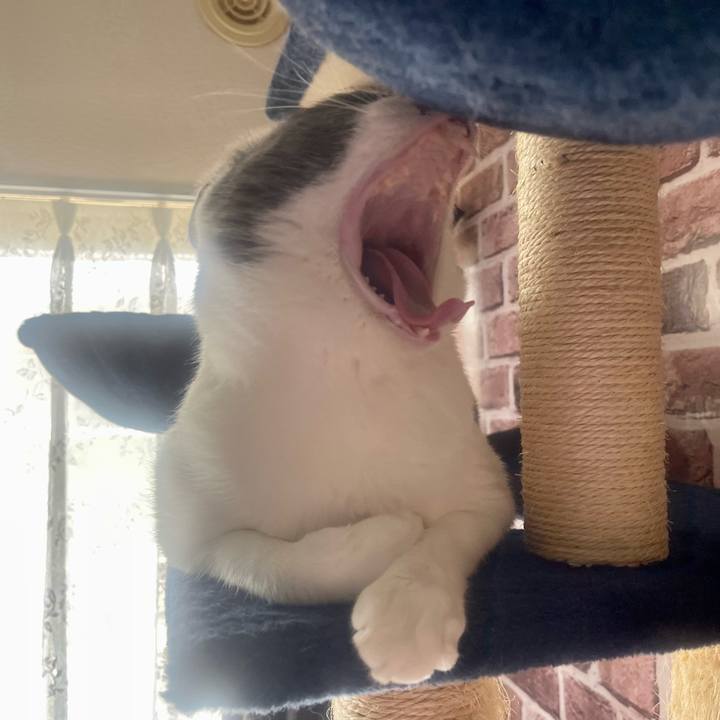 359c5d8e f5b7 46bd bed6 0778b7d2c0f5 1650341500195