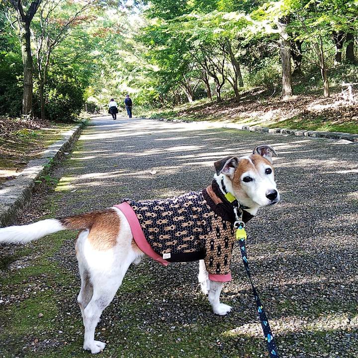 359cc667 ac27 4596 af4f 0b136a0352da 1541251261294