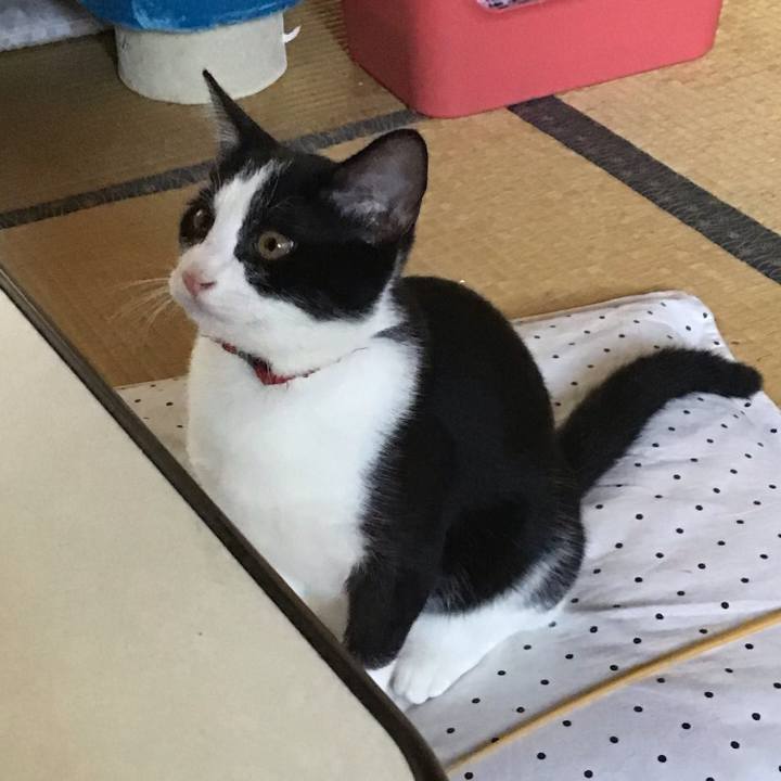 359ccfa4 8fd0 430c 98a8 549b92b5a44c 1630901131060