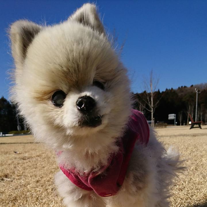 359ce33b fd56 4b17 9efc 274afad8e855 1517871419340