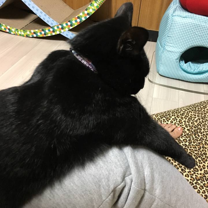 359cfaba fc3b 4890 8341 69bb78ce63fa 1514108865363