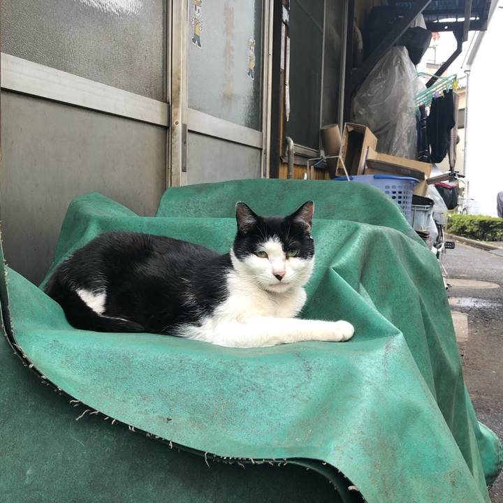 359d651b 9a61 4b86 af6e 37727cc2ca79 1562344919184