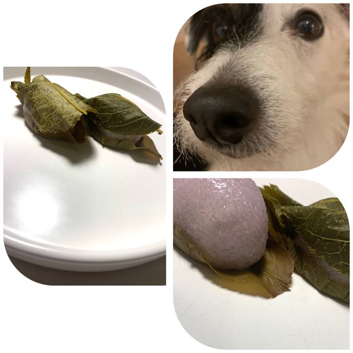 359d9174 3f23 49af add1 4128620e61b3 1582114307554