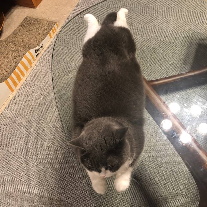 359da129 3e92 4ba5 8f42 54cbbd89a9ff 1563363972445