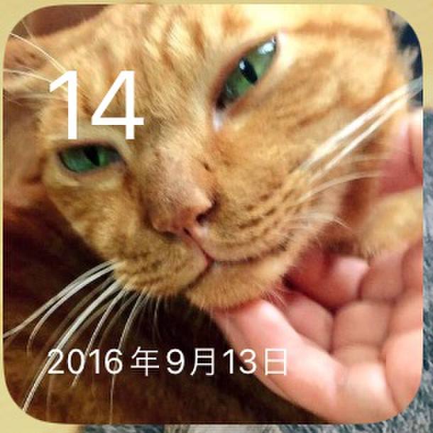 359ddb2f 41ef 41a9 913d 10c26e633d4b 1726287465066