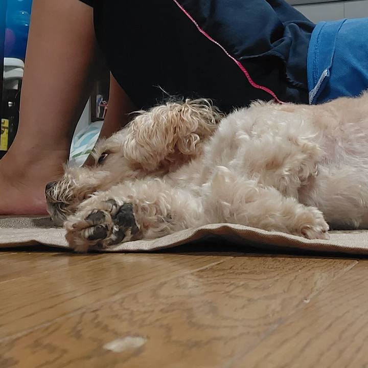 359e3c2e a6d1 4d33 84c0 639468cb7b11 1628939808113