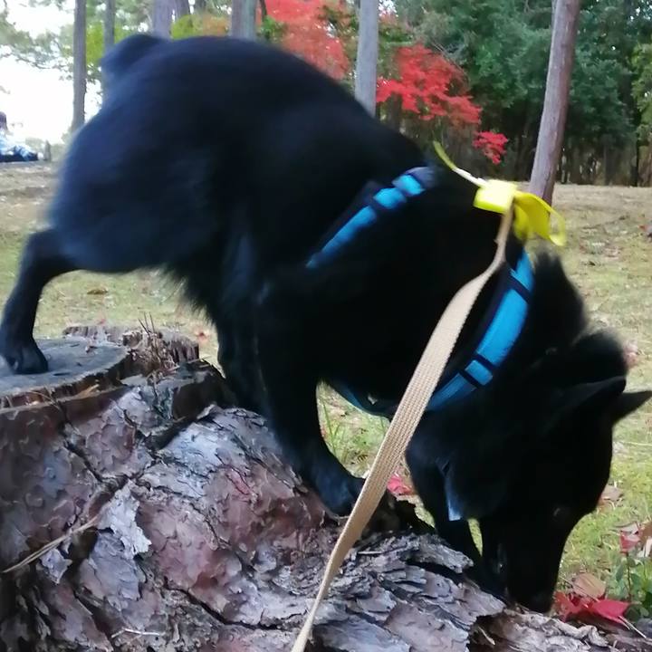 359e4249 c66e 49f0 94a9 d47abcc061d3 1638223159171