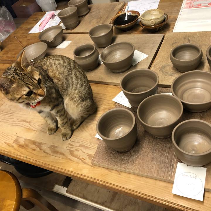 359eddbd 9510 4d7b affa 8fc3e7b41141 1585297455800