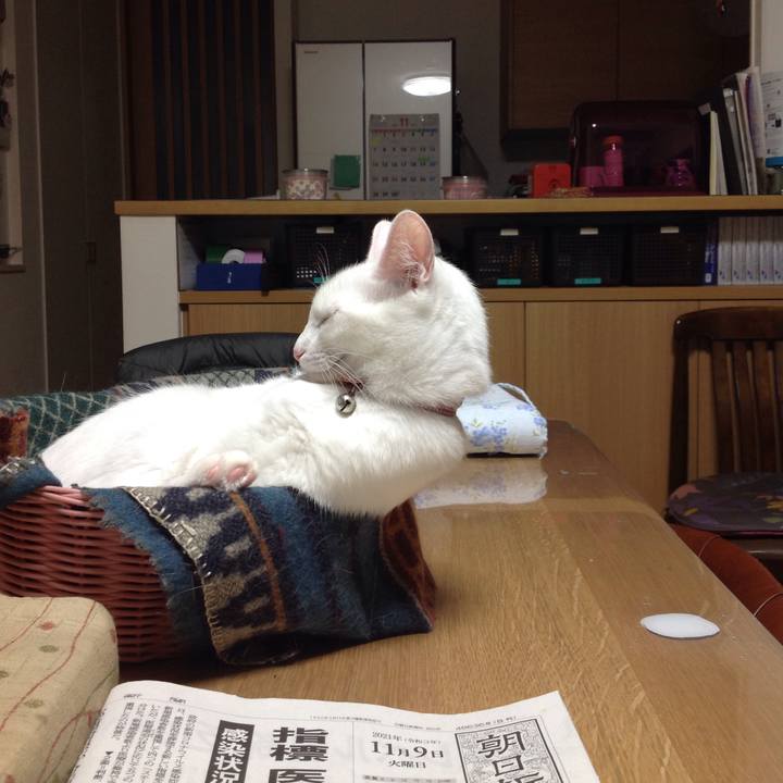 359f0812 b18e 4844 9105 f7984ed99f65 1636421674191