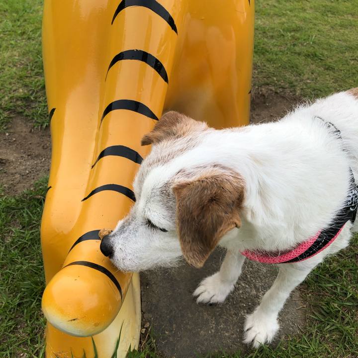 359f2e4d 97f3 471a beac 761ef50f1f10 1591363757102