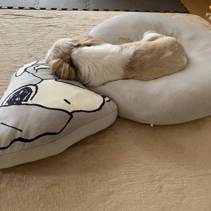 359f678a 666e 41ae ad4e a1c5f5fd09f7 1628834266377