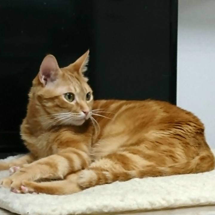 359fc095 e427 4700 8ec7 1b462cdb1124 1553207586219