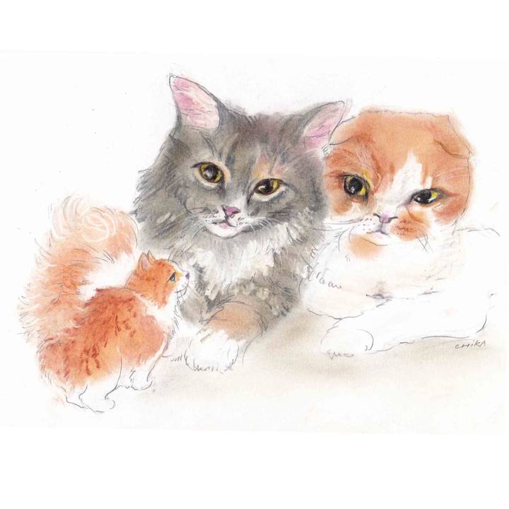 359fcbc9 02d7 4fdf ae91 d22456fd0113 1615472101799