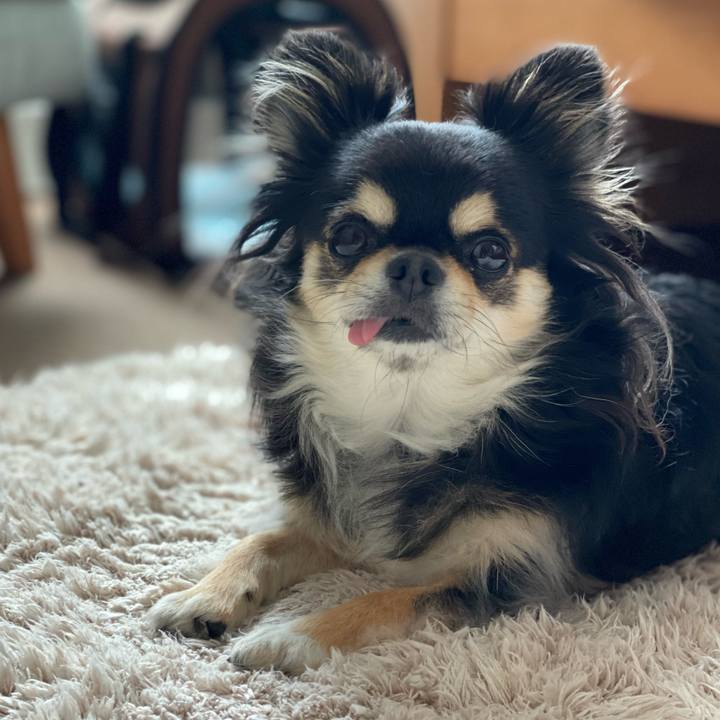 359fd3ec 44b1 4606 98aa dd2e036d5da1 1652425242048