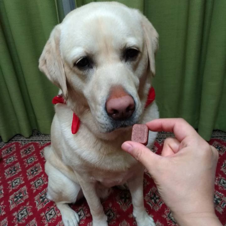 359fdbfb 0175 46b8 86e5 9242ddd0693d 1587294266210