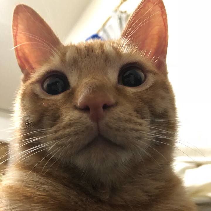 35a008b4 299e 4c4d 894d 1dc903772c48 1519654175551