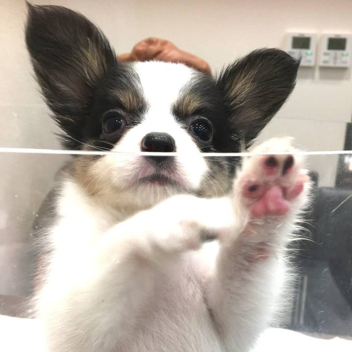 35a00c18 bf95 4d09 bb16 8376fd085812 1594722803823