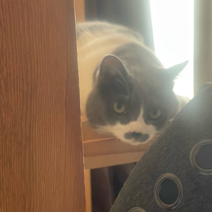 35a04238 1e4d 4998 a35b f0e833ee6d25 1756079777400