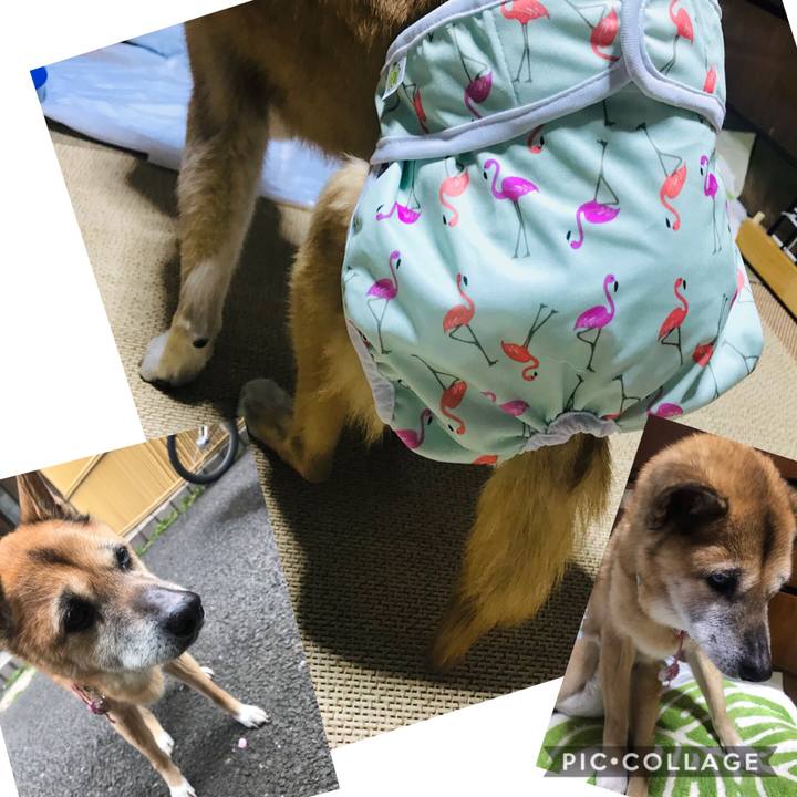 35a05de4 46ec 429e 98af dc604fca894b 1555115091950