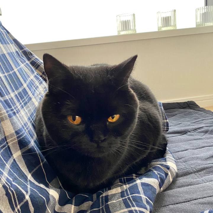 35a062b8 489c 4cea 9d90 fc1d9f837dd7 1614042604576