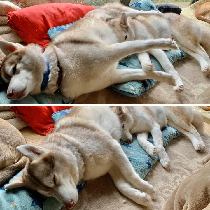 35a06323 7791 40f4 8108 50a553fd7b91 1585443856837