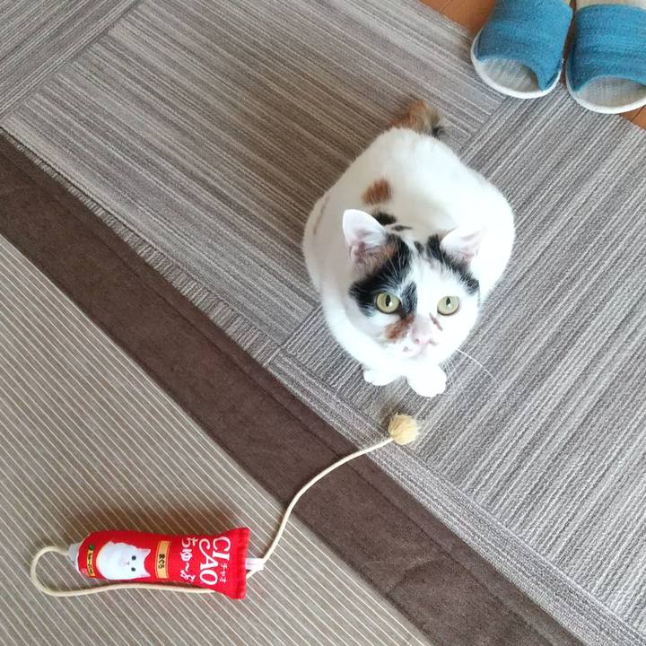 35a0a638 d13a 4b2e 9438 ef6746c5c23b 1625283917102