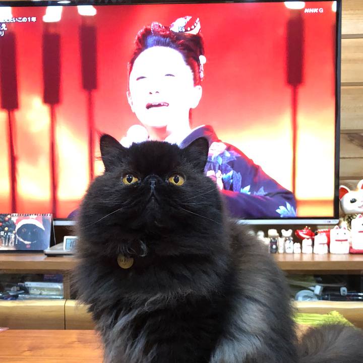 35a0ba2e 3711 40b8 9440 9135f1deac8a 1609423265839