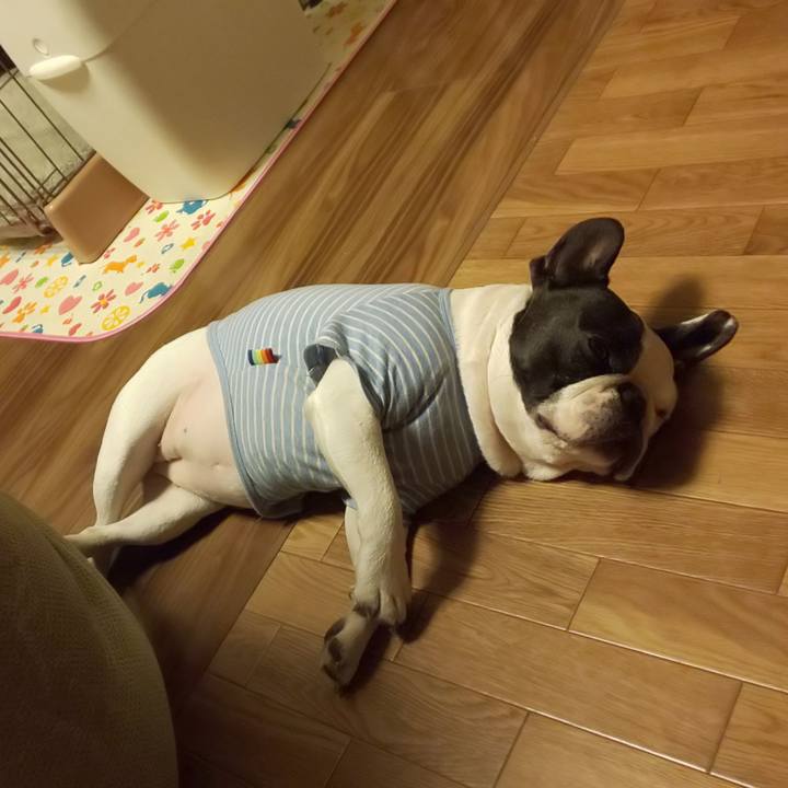 35a0ca74 dd6f 47d8 95c6 54bffae86cf8 1547375505576