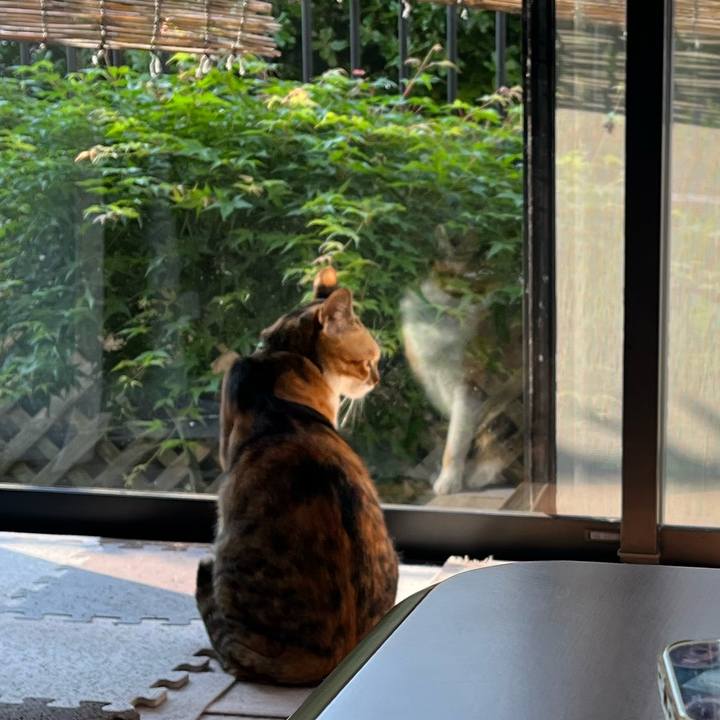 35a105c4 e18f 44d2 9746 062969d0d0ee 1747088229668