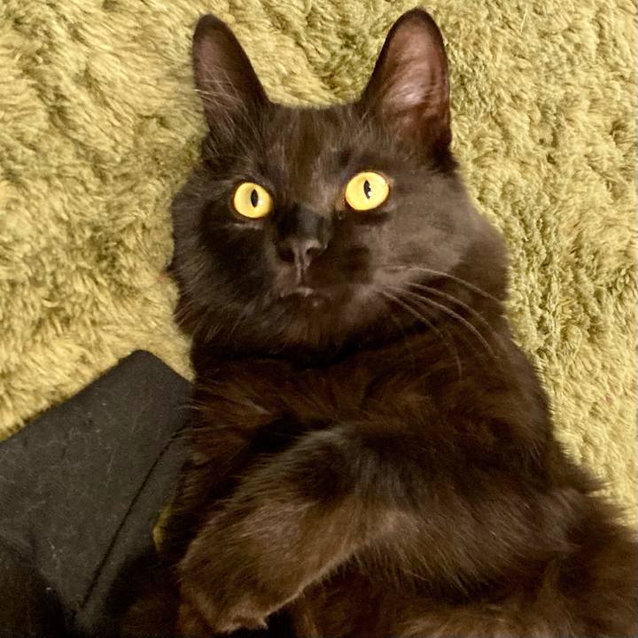 35a12688 02d5 4d1f a835 007d3259158b 1719713121109