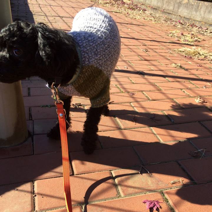 35a13b6f 1b06 47fa abb2 c51c42753cb1 1513141670486