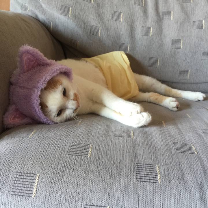 35a183d1 0e23 4b15 adfc b2b81b3b1df7 1534653269409