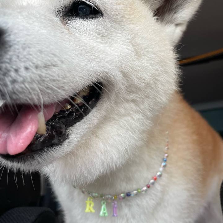 35a18c55 5e59 40e2 90af b6254235afd2 1678801866373