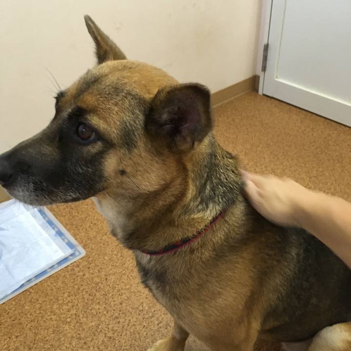 35a1acc6 4d0c 409c 8bd3 2b42c15e2064 1537266747000