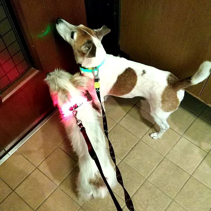 35a1b3d2 a764 40af 9c49 ae7978ffd3a5 1544609008577