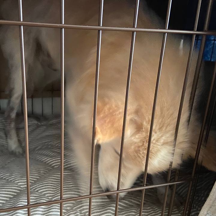 35a1c170 365b 4581 84f6 bd6e8822e764 1646893065956